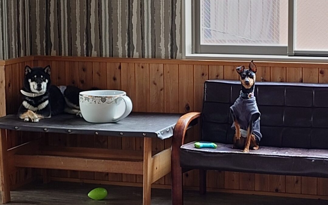 ひやりとした話。