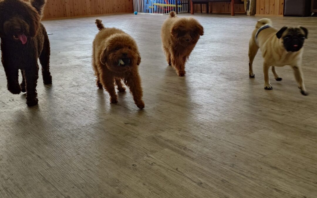 すっかり春ですね！