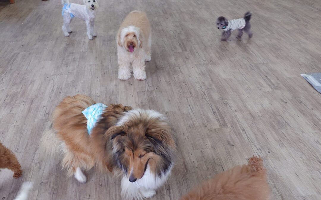 雨が続きます。