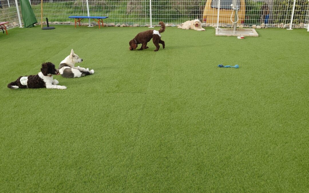 ドゥードル集まった日