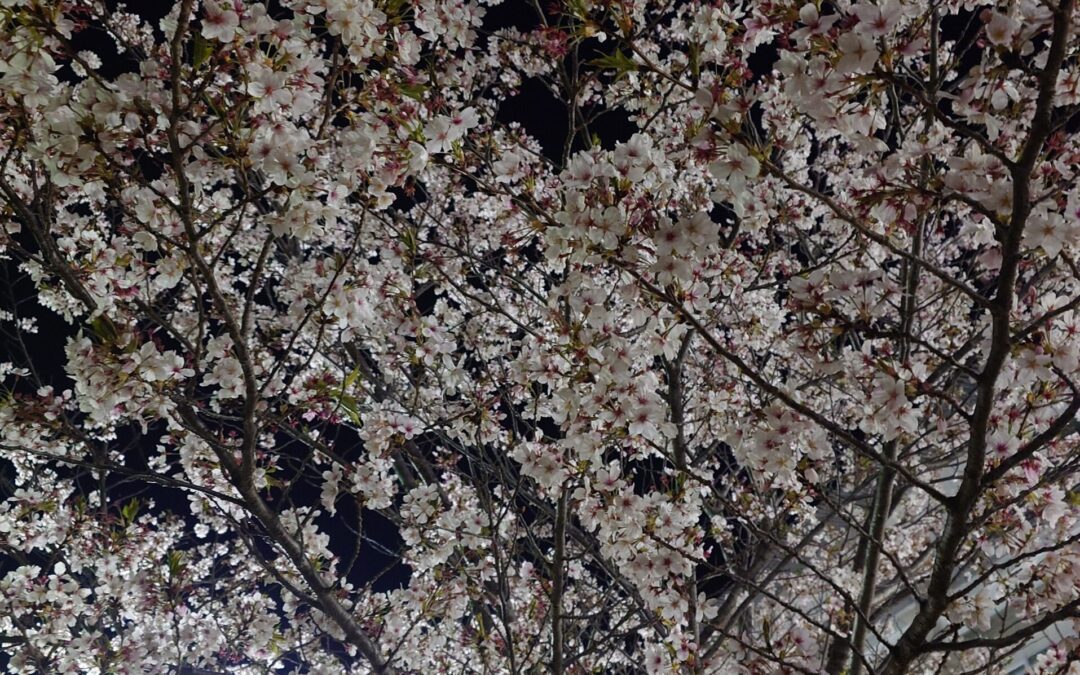 ぼんやり考えていることを・・・