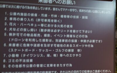 注意するのは是か非か