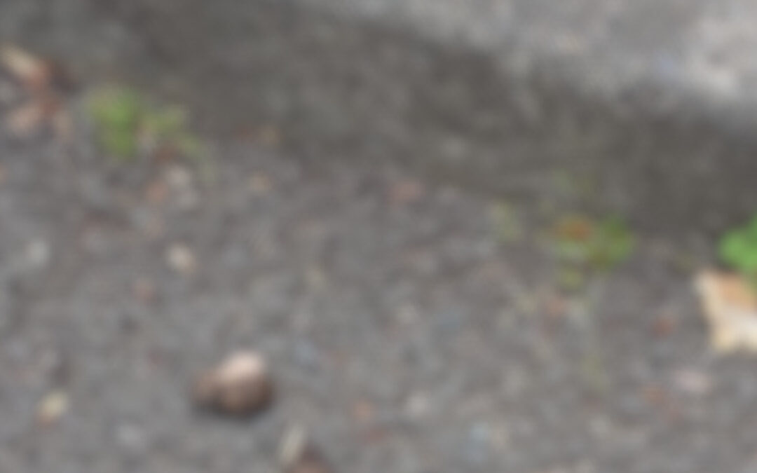 というわけで拾ってきたよ。