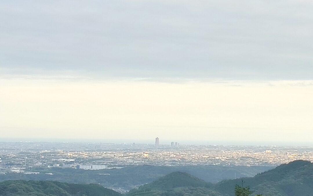 犬は本当は判っている。