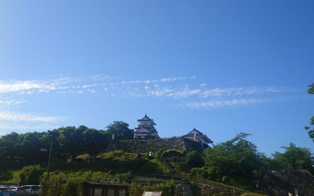 お散歩でみつけたもの