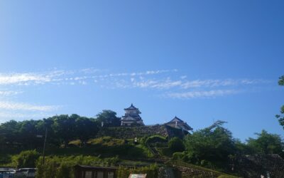 お散歩でみつけたもの