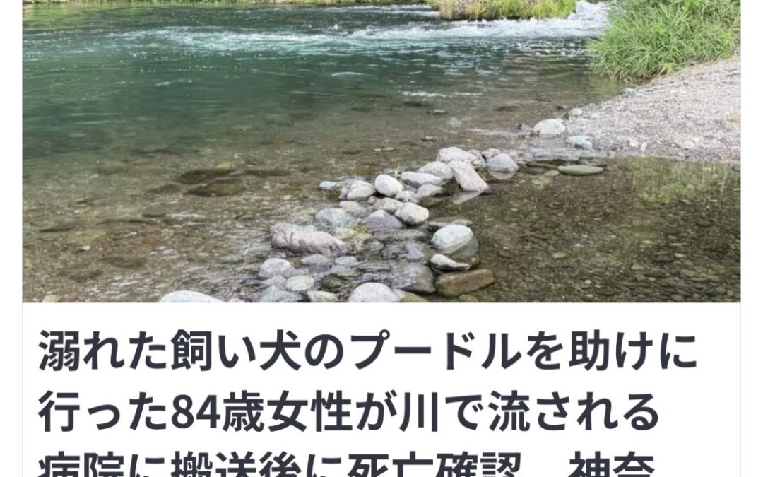 川に事故とノーリード