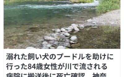 川に事故とノーリード